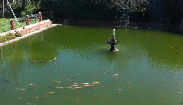 Campestre Sierra Viva Zacatlan Ngoại thất bức ảnh